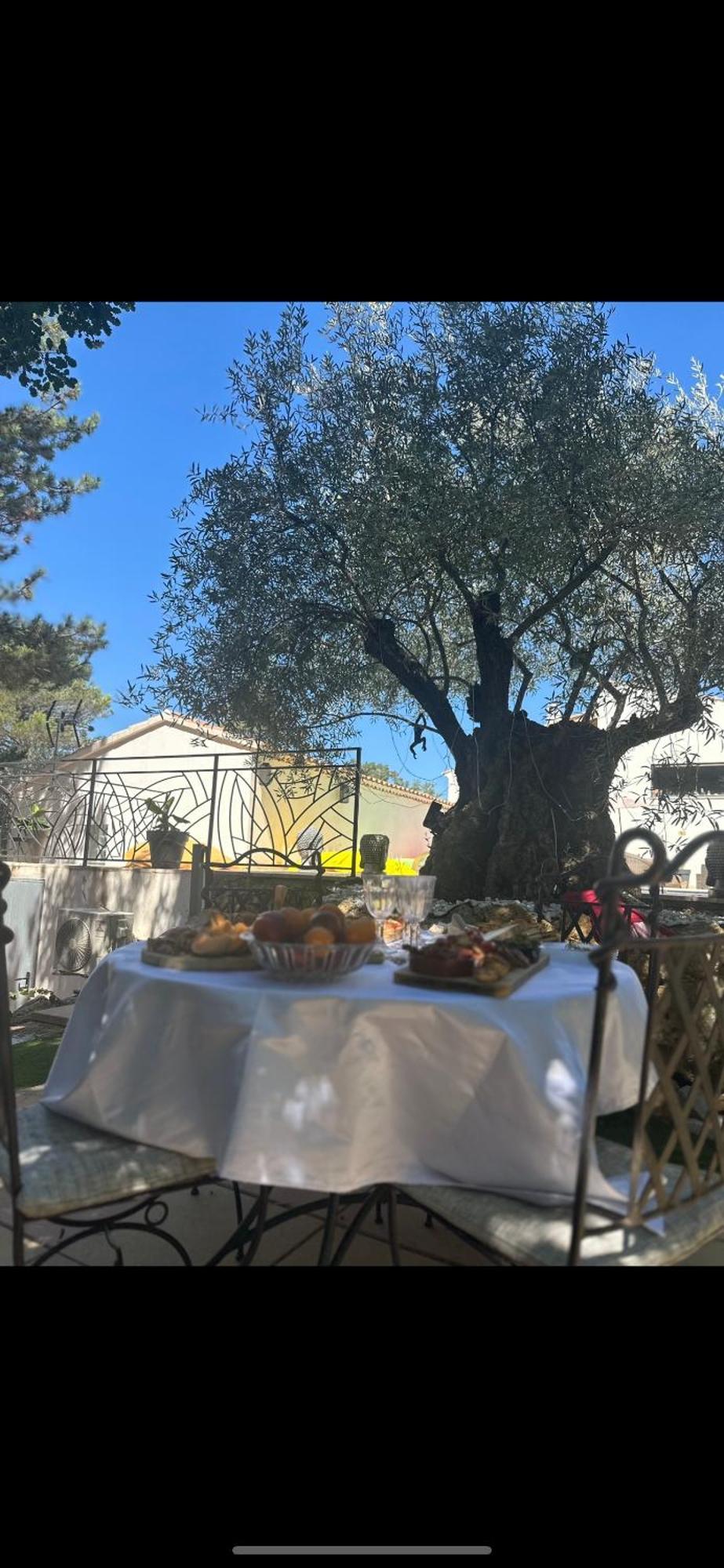 Domaine De La Vie Conte